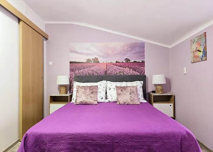 柯佐旅馆 招待所